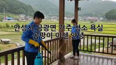 안성시 금광면 거주 청소: 욕실 곰팡이, 이젠 안녕!